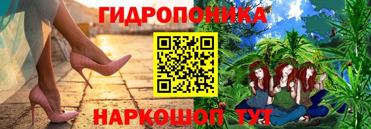 Конопля ГИДРОПОН  Вход с VPN  МАРИХУАНА сатива  Таганрог 